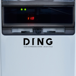 DING Monthly Rental