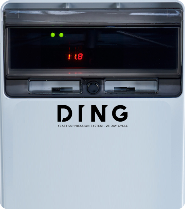 DING Monthly Rental